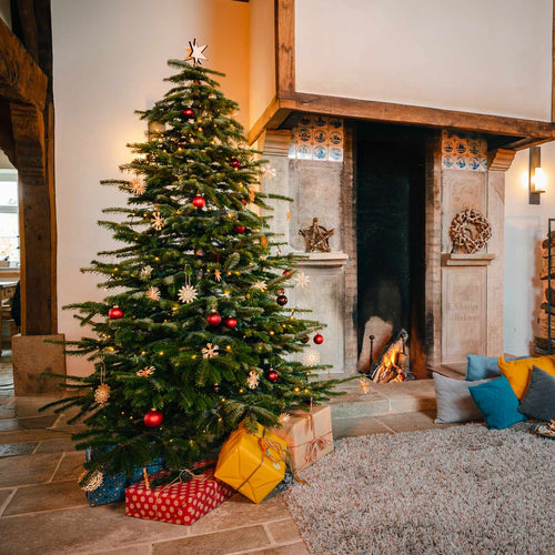 No-Christmas-Tree Experiences & Reviews
