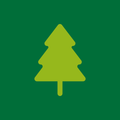 No-Christmas-Tree