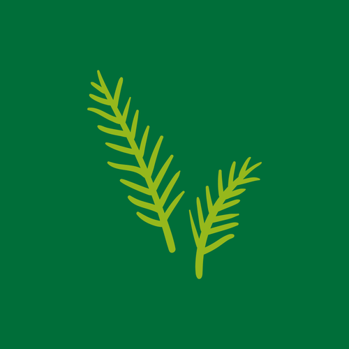 Advent & DIY