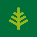 Cut foliage