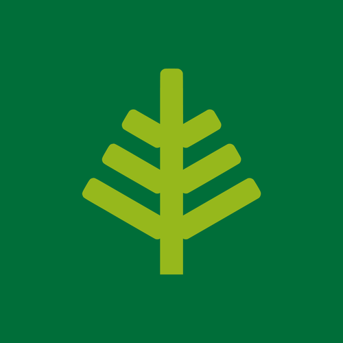 Cut foliage