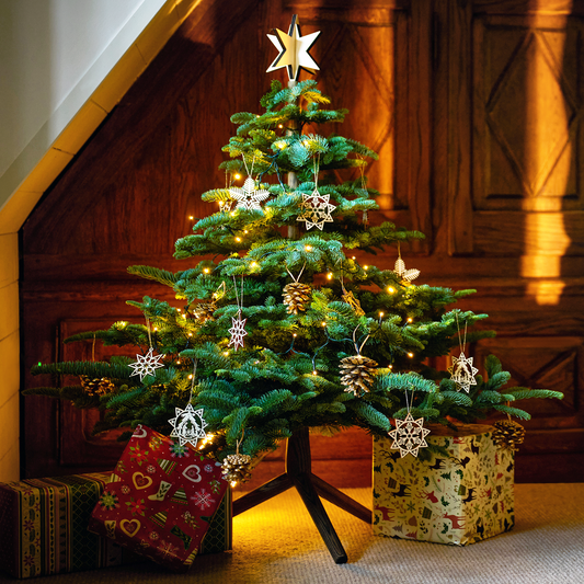 Kinachtsbaum Niki