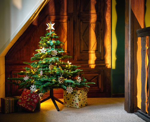 Keinachtsbaum® Niki – Ash wood, 100 cm