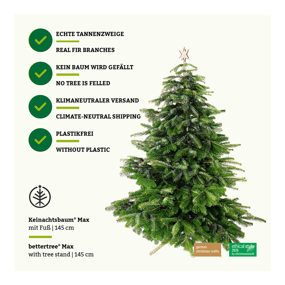 Bettertree® Max – Ash wood, 3 sizes