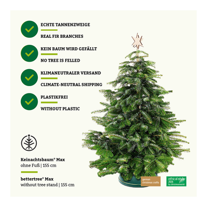 Bettertree® Max – Ash wood, 3 sizes