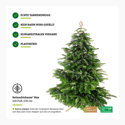 Bettertree® Business Set