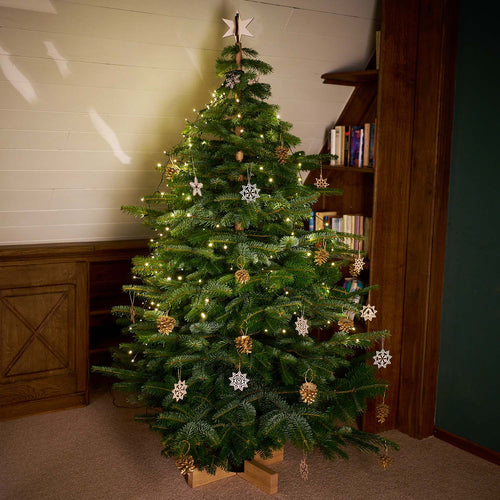 Keinachtsbaum® Lilli – Beechwood, 180 cm