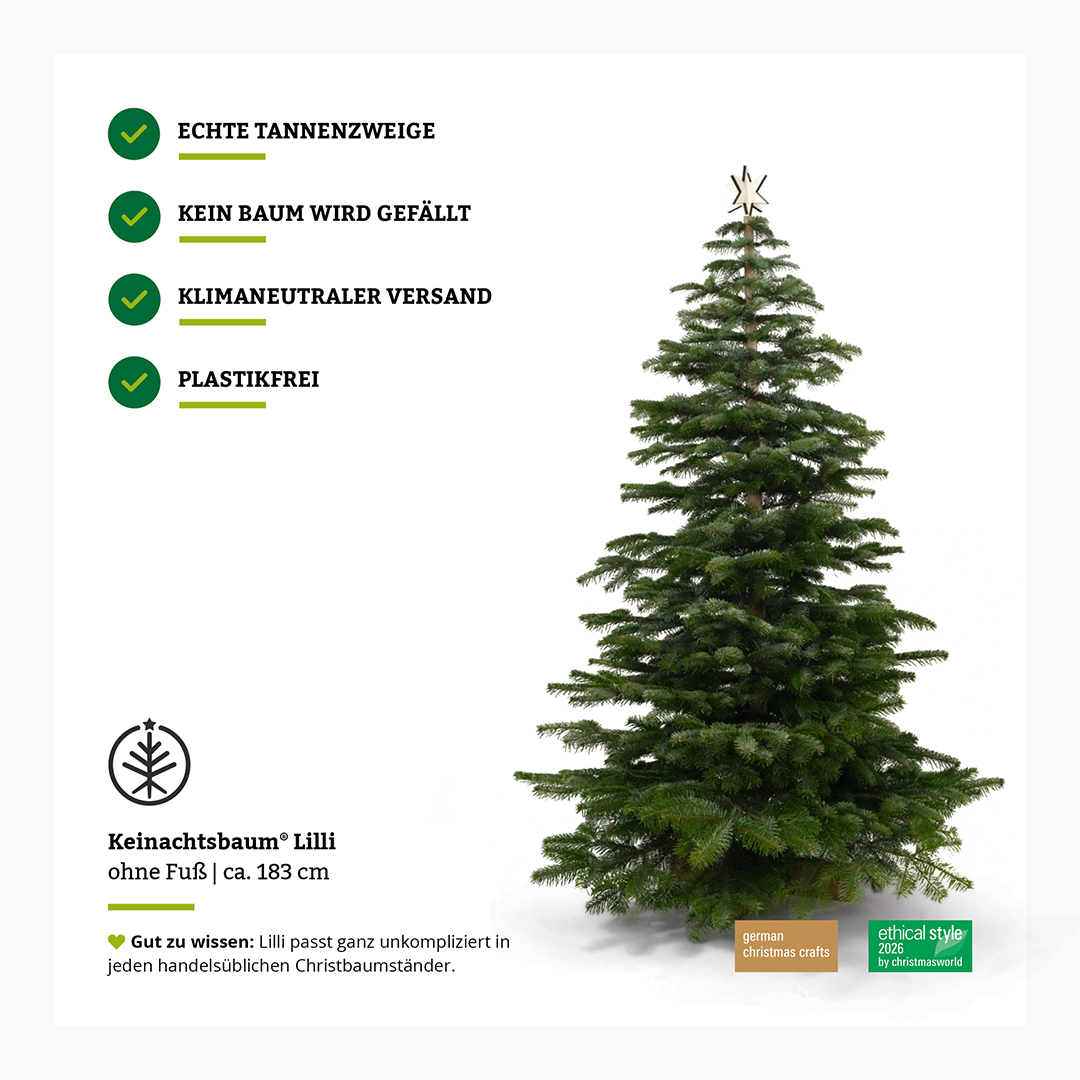 Bettertree® Starter Set
