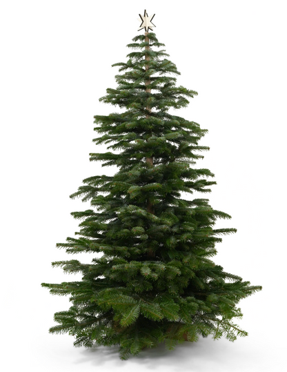 Keinachtsbaum® Starter Set