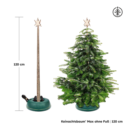 Keinachtsbaum® Max – Ash wood, 3 sizes