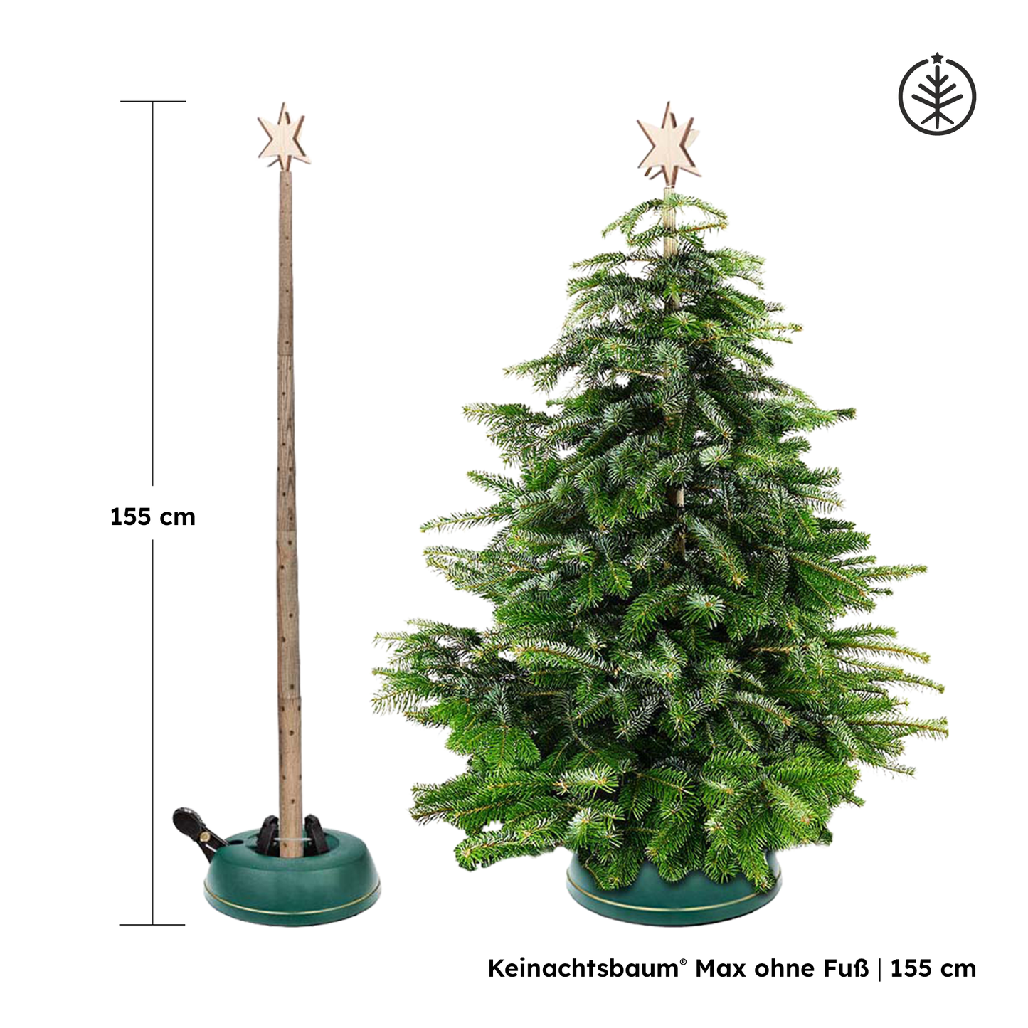 Keinachtsbaum® Max – Ash wood, 3 sizes