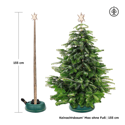 Keinachtsbaum® Max – Ash wood, 3 sizes