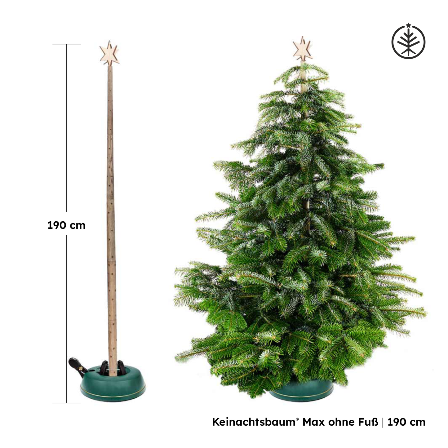 Keinachtsbaum® Max – Ash wood, 3 sizes