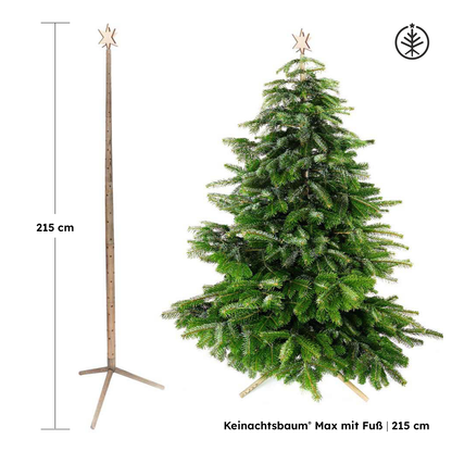 Keinachtsbaum® Max – Ash wood, 3 sizes