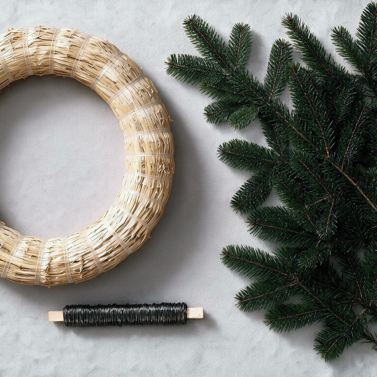 Fresh Nordmann fir greenery