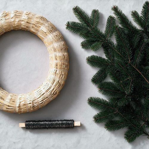 Fresh Nordmann Fir Greenery