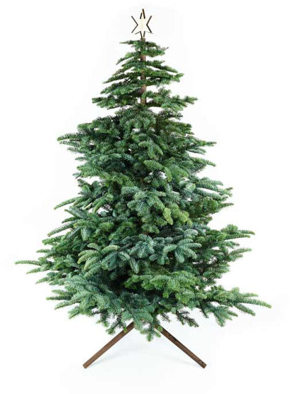Keinachtsbaum® Business Set