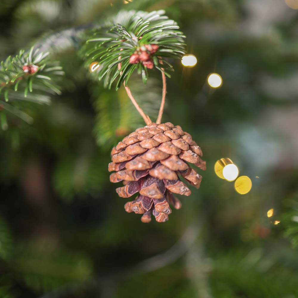 Keinachtsbaum® Business Set